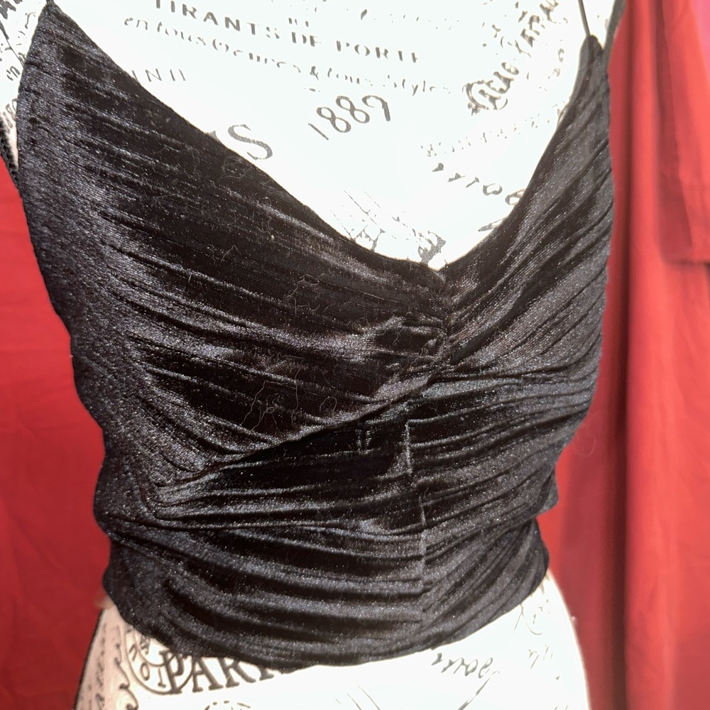 Wild Fable Black Velvet Crop - Picture 2 of 4